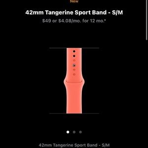 Apple Watch Tangerine Sport Band 42mm S/M